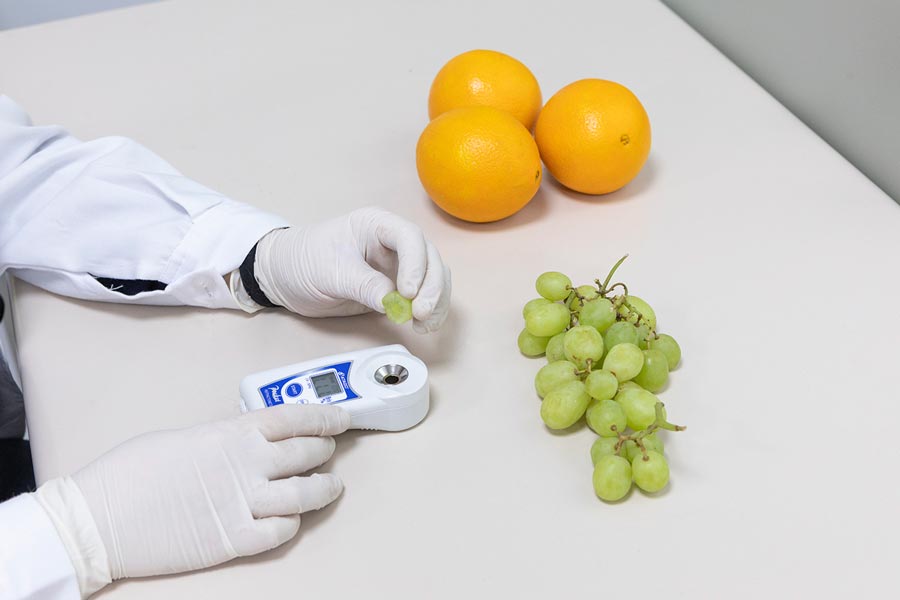 Utilización de un refractómetro para medir los grados Brix de la fruta