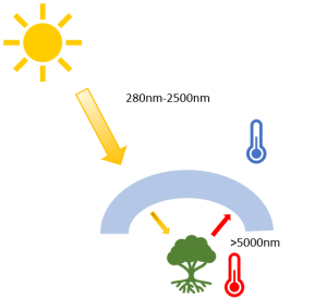 Cómo funciona un invernadero