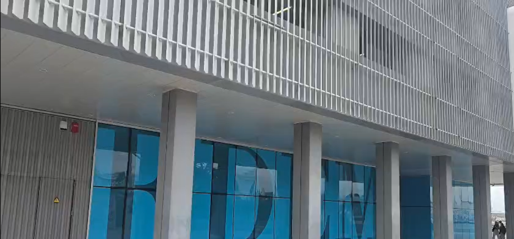 Formación